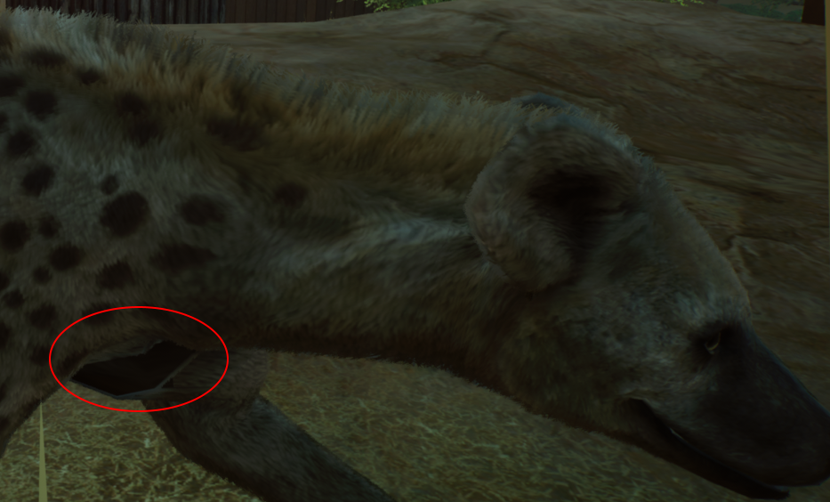 bug.png