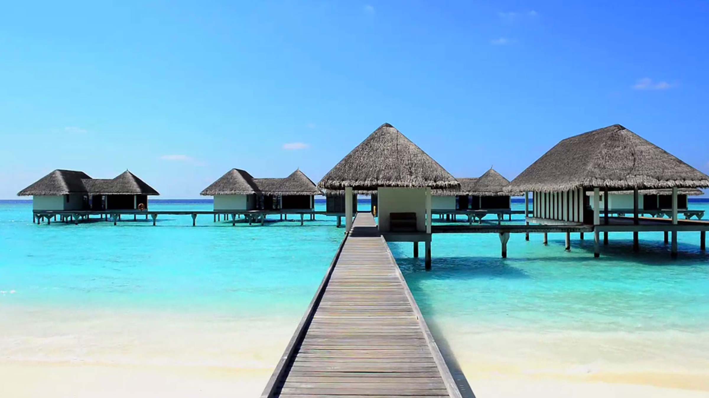 bungalow-poster-2400x1350.jpg