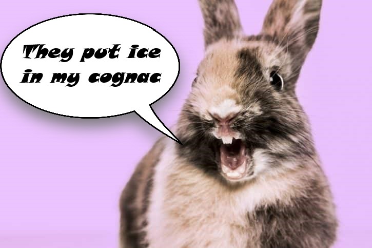 Bunny-laughing-showing-teeth-725x483.jpg