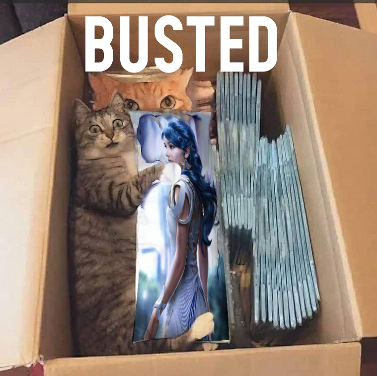 BUSTED.jpg