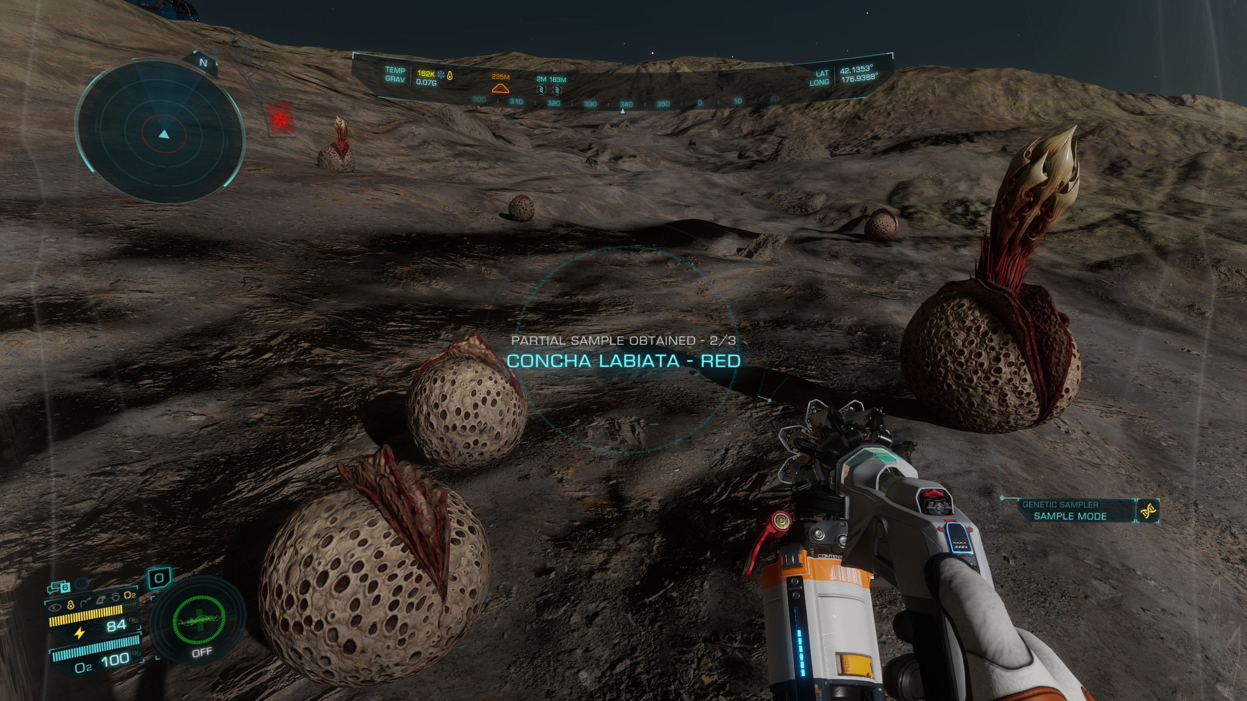 cactus.jpg