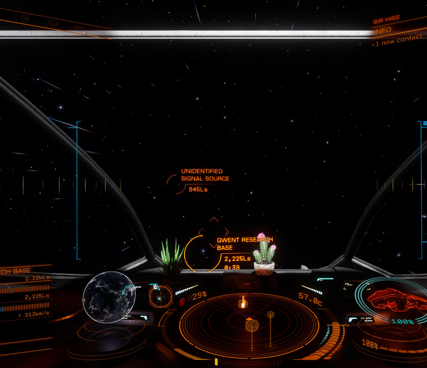 cactusplant33091202viperdashboard.jpeg