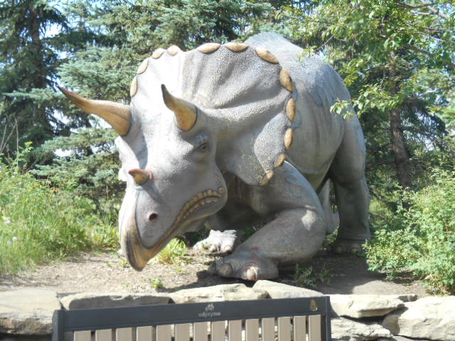 Calgary_Zoo_Triceratops_02.jpg