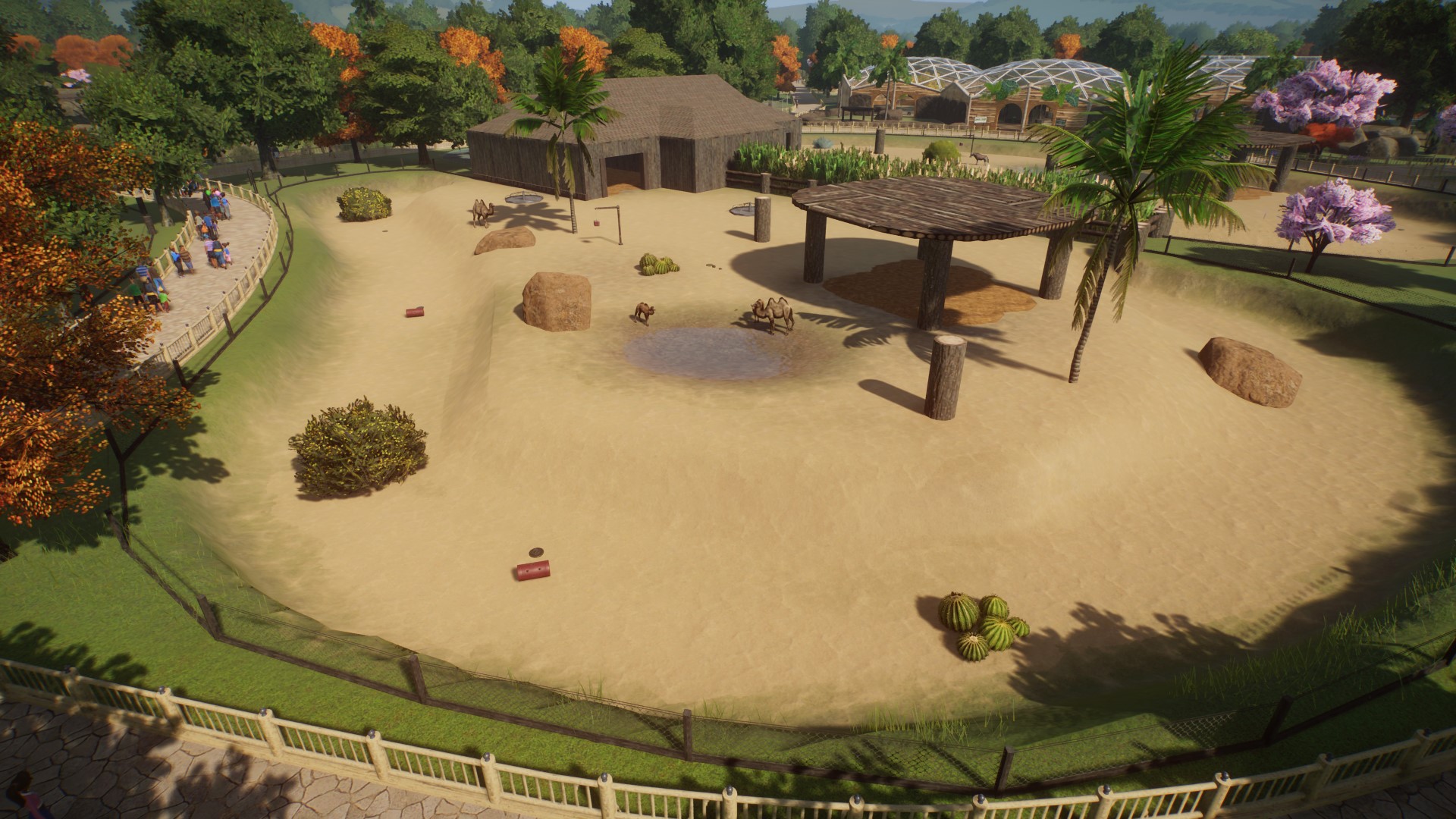 Camel Paddock.jpg