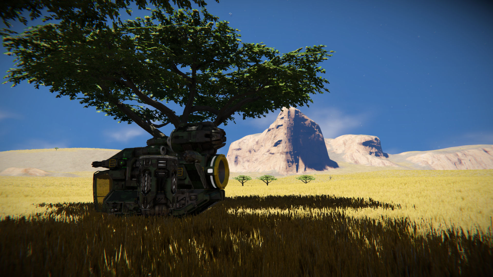 campsite5.jpg