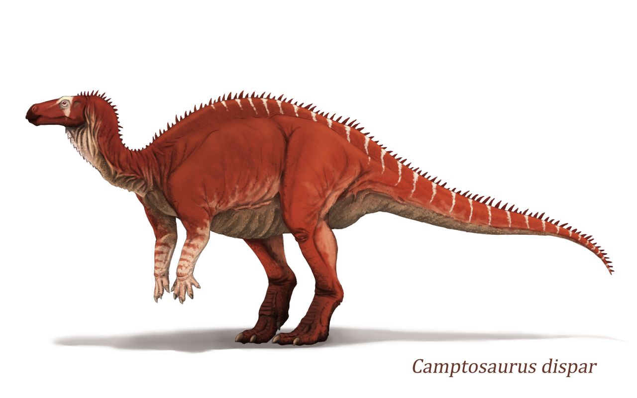 camptosaurus_by_y_forest_dd82w50-fullview.jpg