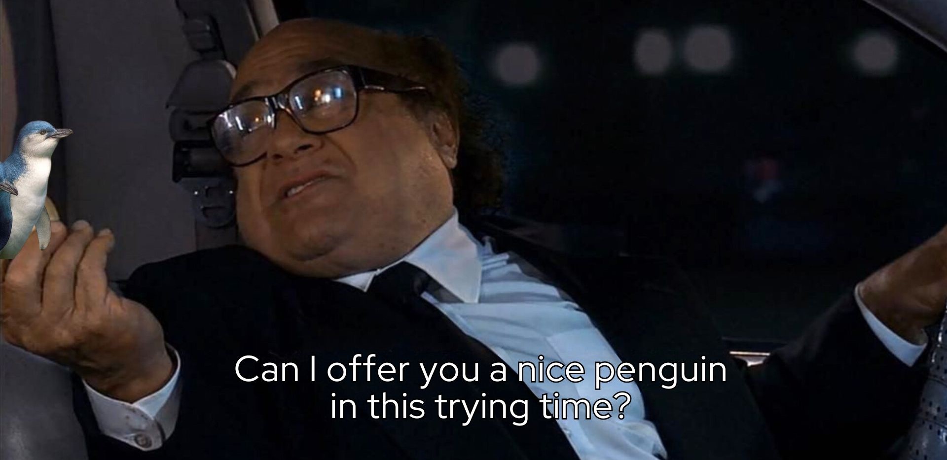 Can I offer you a nice penguin in this trying time.jpg