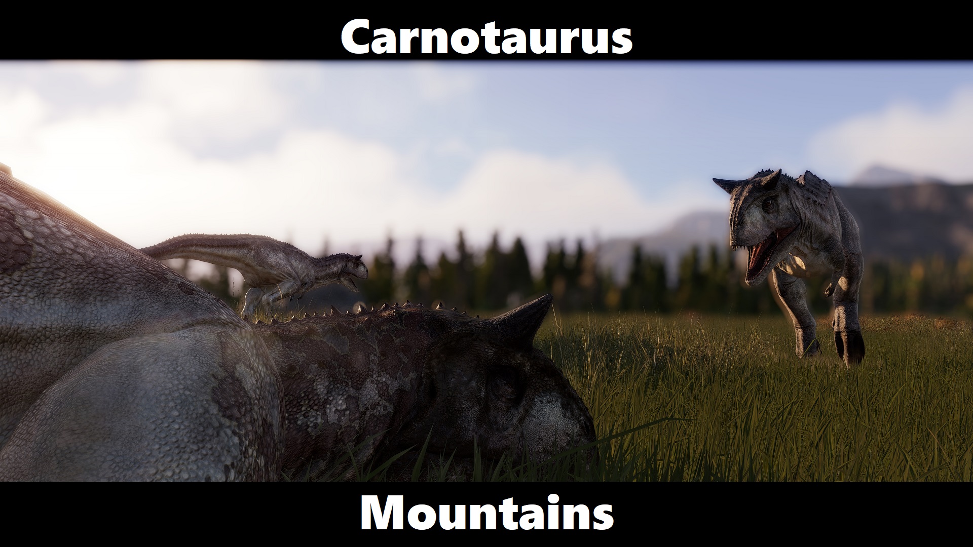 Carno mountains.jpg
