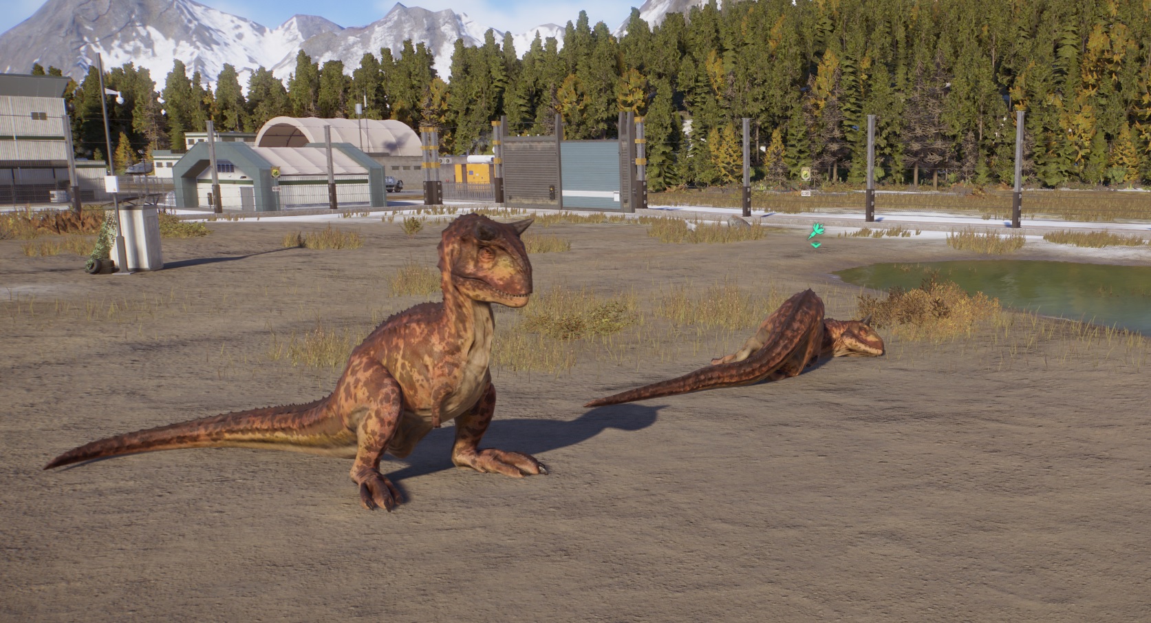 Carno Sitting.jpg