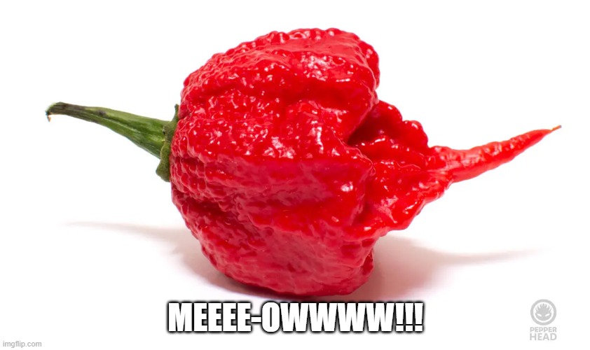 carolina reaper.jpg