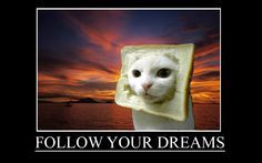 cat-dreams.jpg