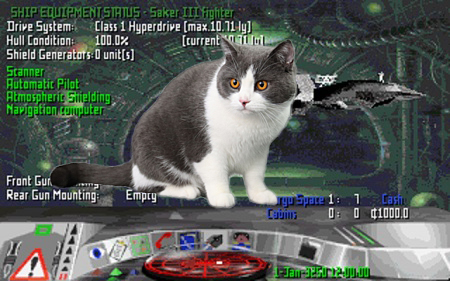 cat in FE3 interior.jpg