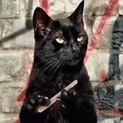 cat2.gif