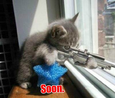 cat_sniper.jpg