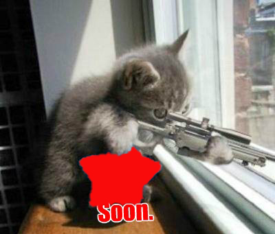 cat_sniper2.jpg