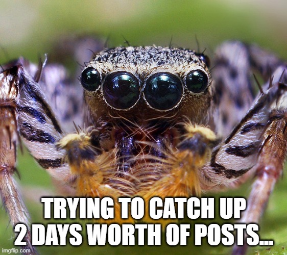 catch up.jpg
