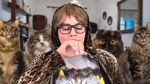 catgroom.gif