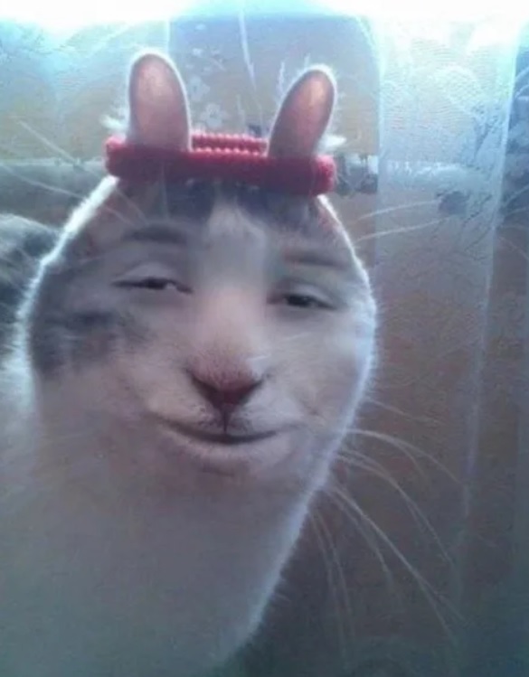 142676