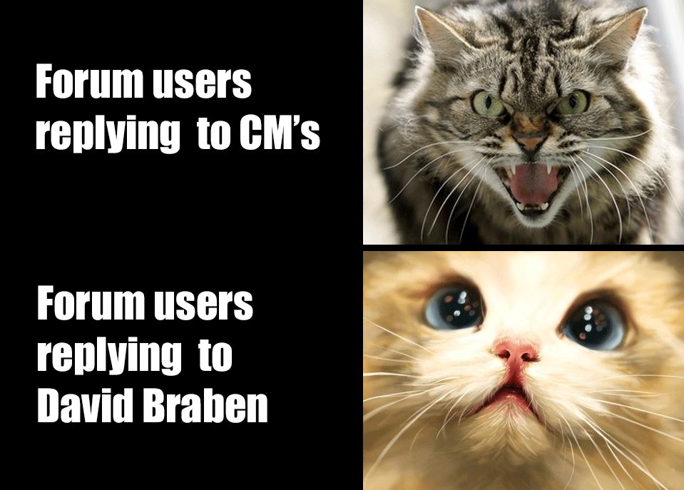 cats.gif
