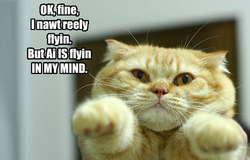 cats-imagination-deal-with-it-flying-tabby-8471789824.jpeg