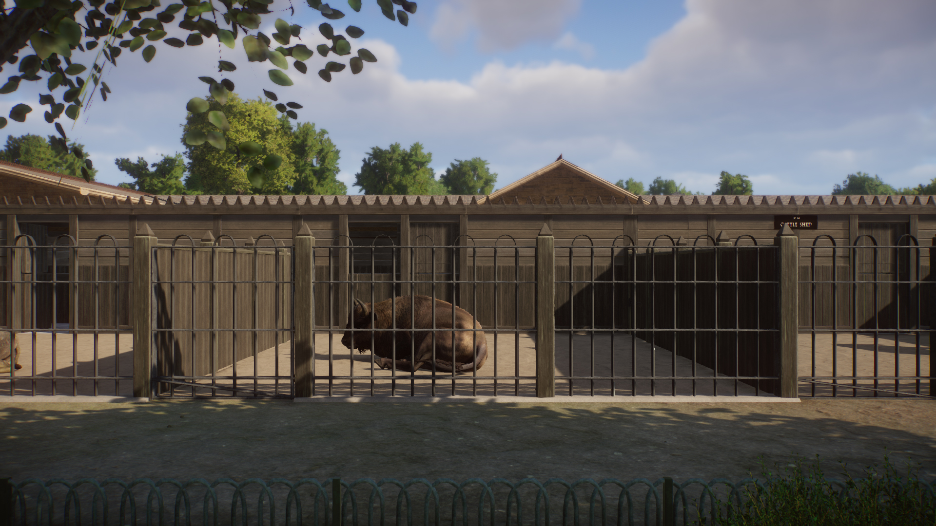 Cattle Sheds.jpg