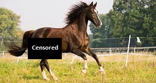 censored.jpg