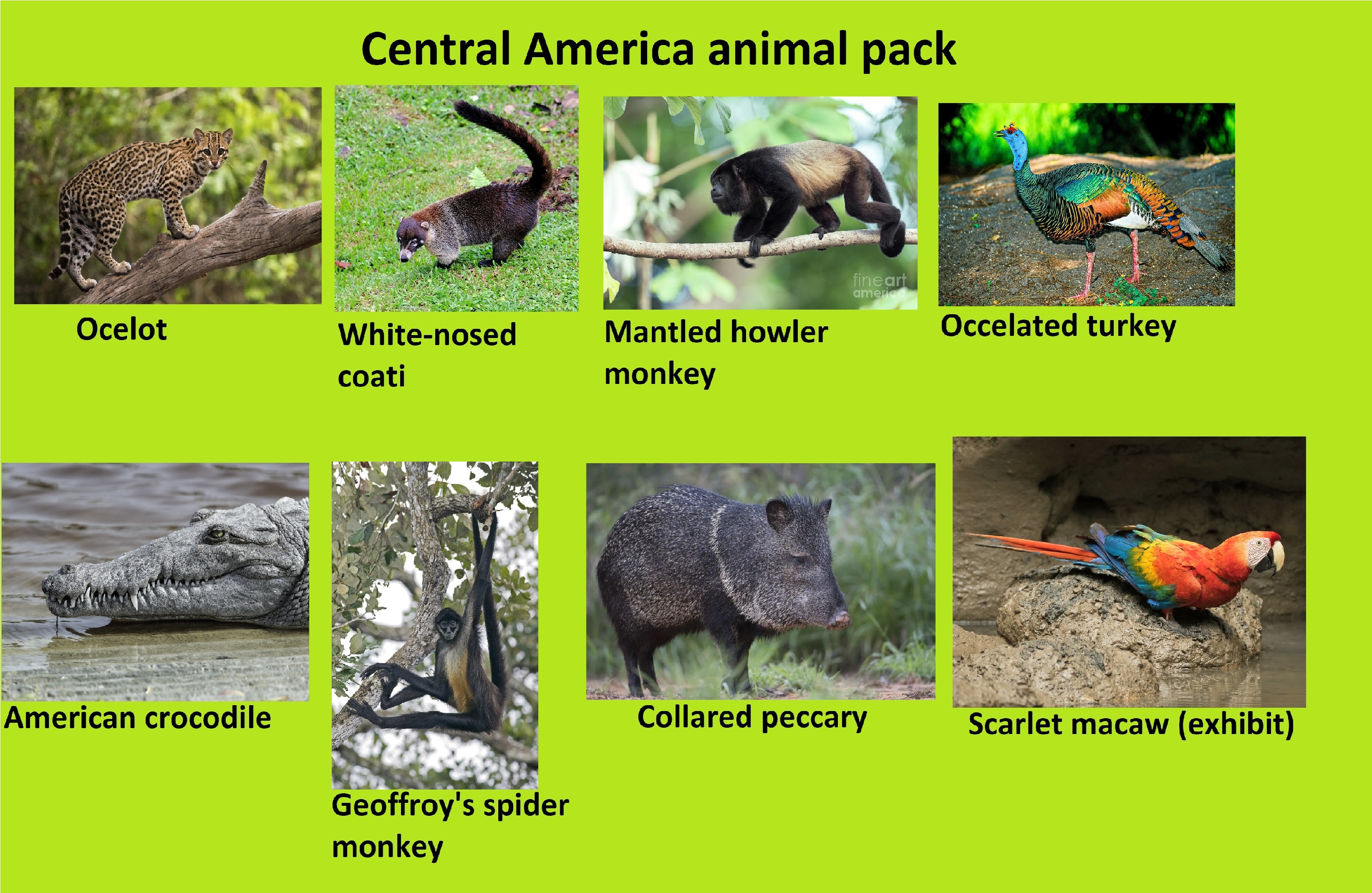 Central America based DLC | Frontier Forums