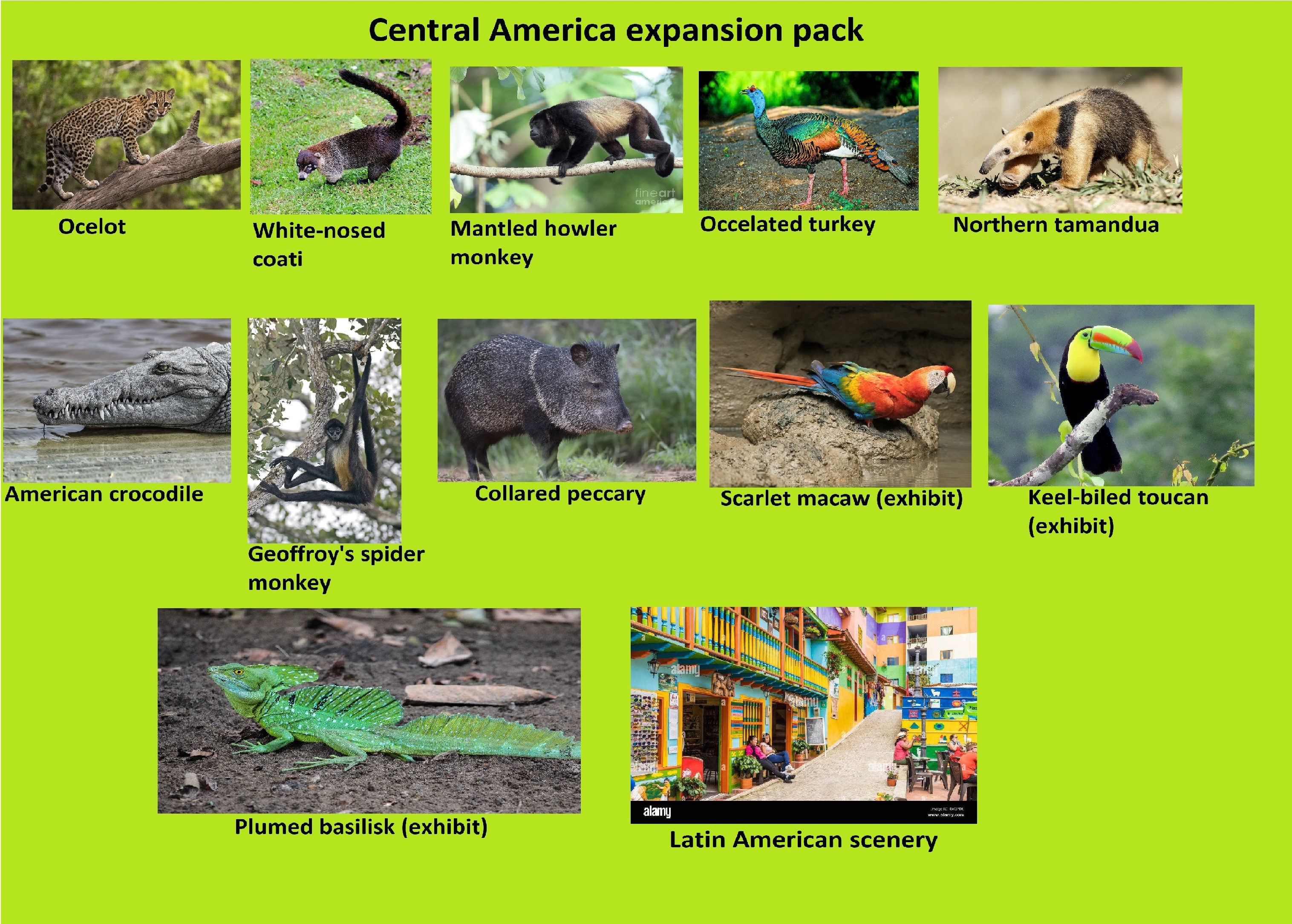 Central America expansion pack.jpg
