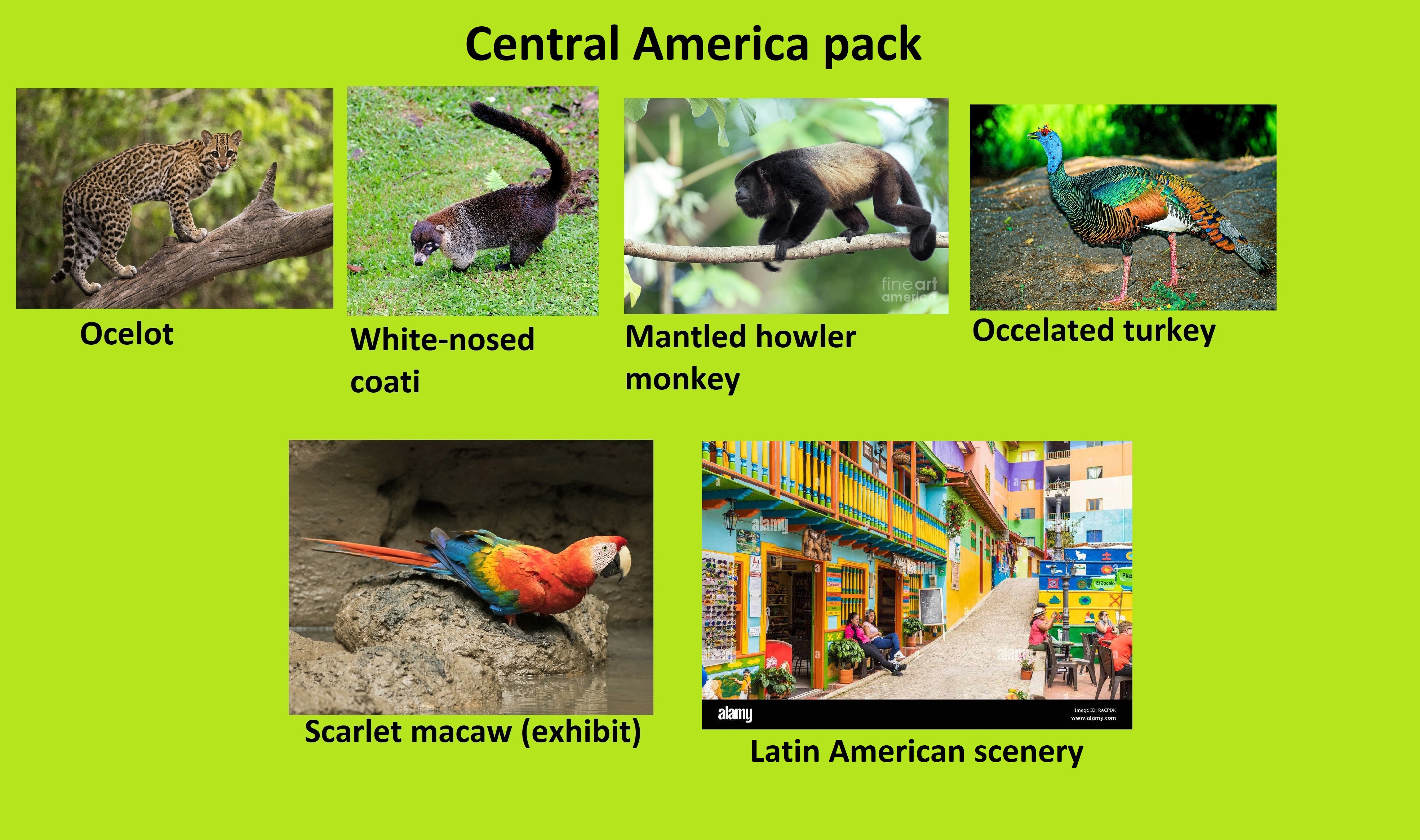 Central America pack.jpg