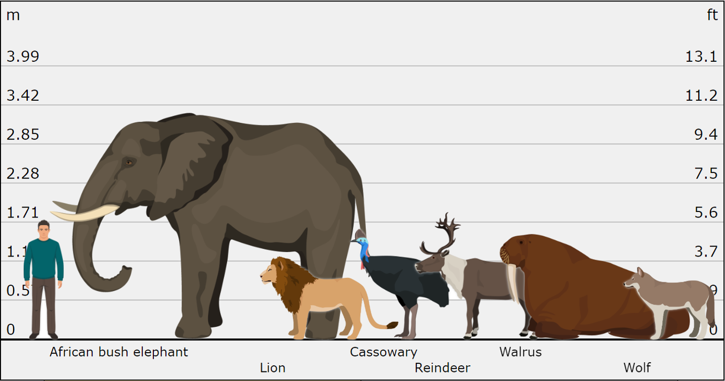 chart showing animal size comparison.png