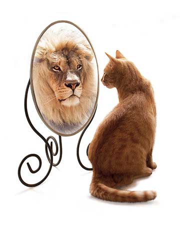 Chat Lion.jpg