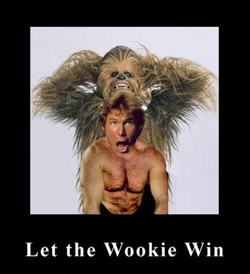 chewbacca-han-solo-wookie-6544965120.jpg