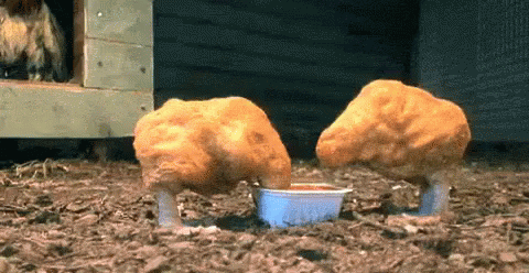 chicken-nuggets-gif-1.gif
