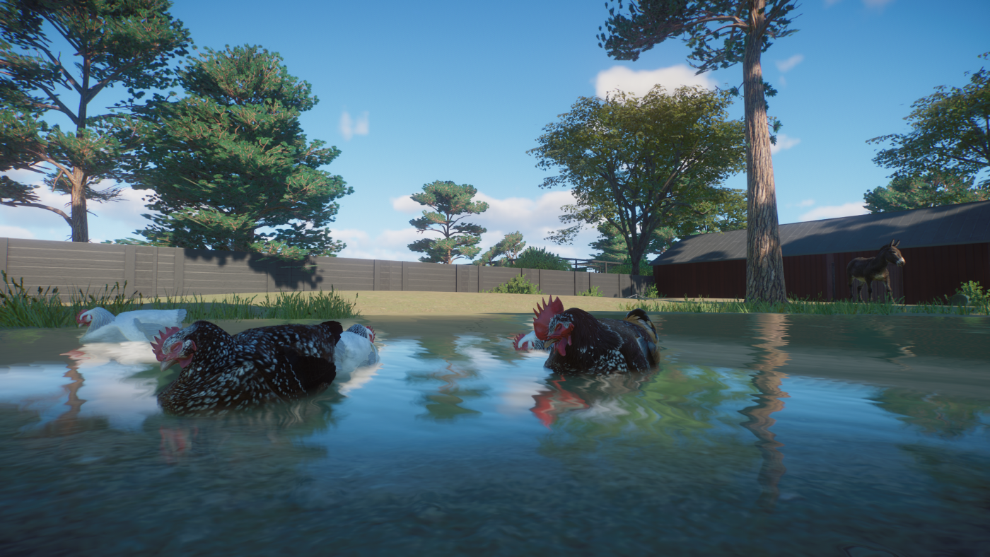 chickens.png