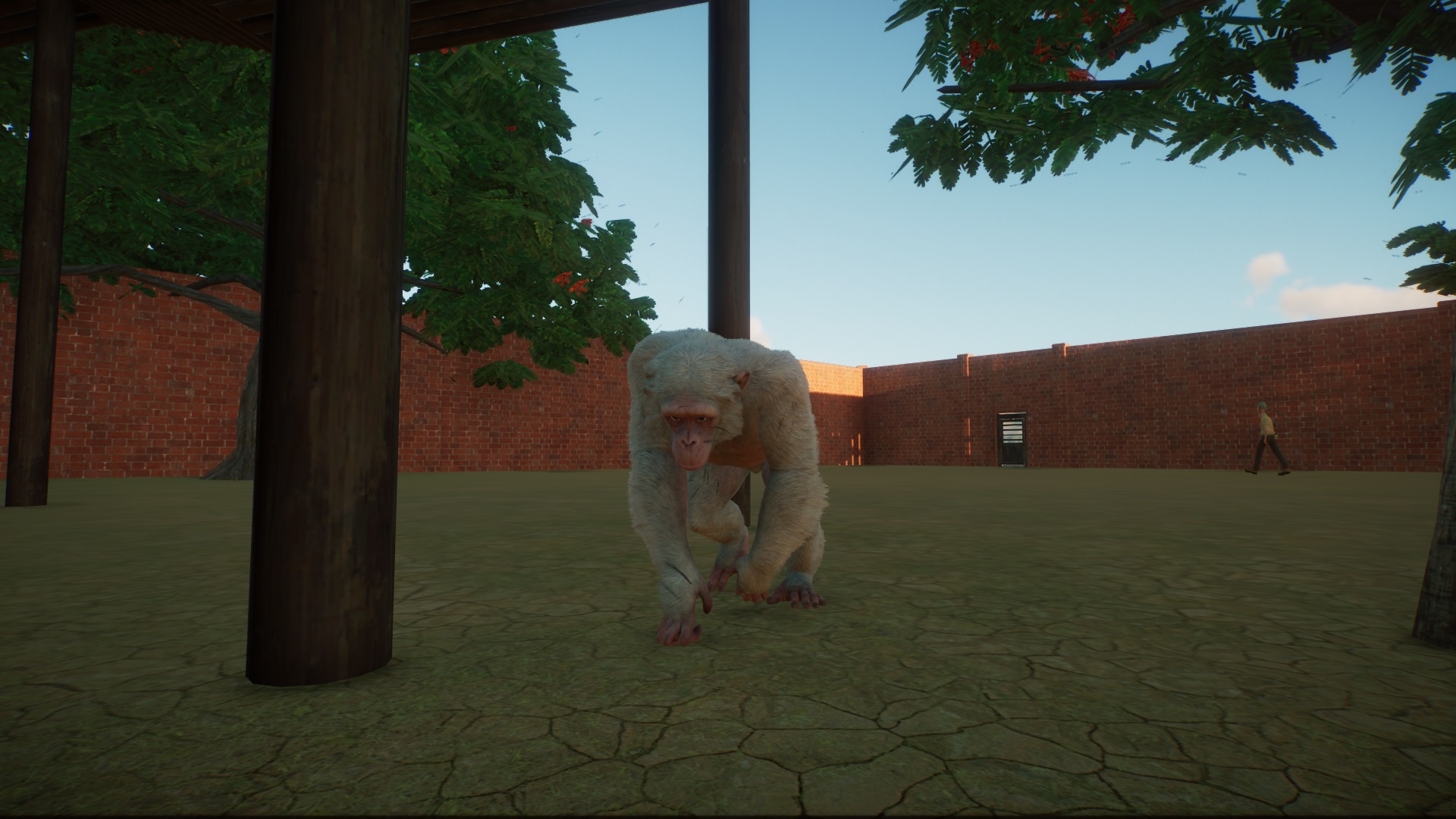 chimpanzee.jpg