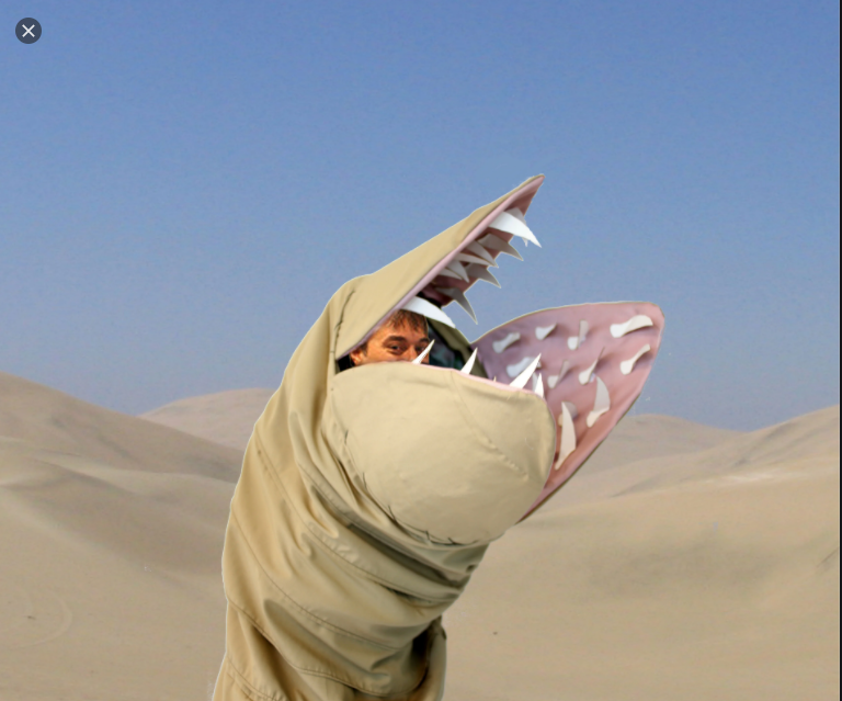 chris-roberts.png