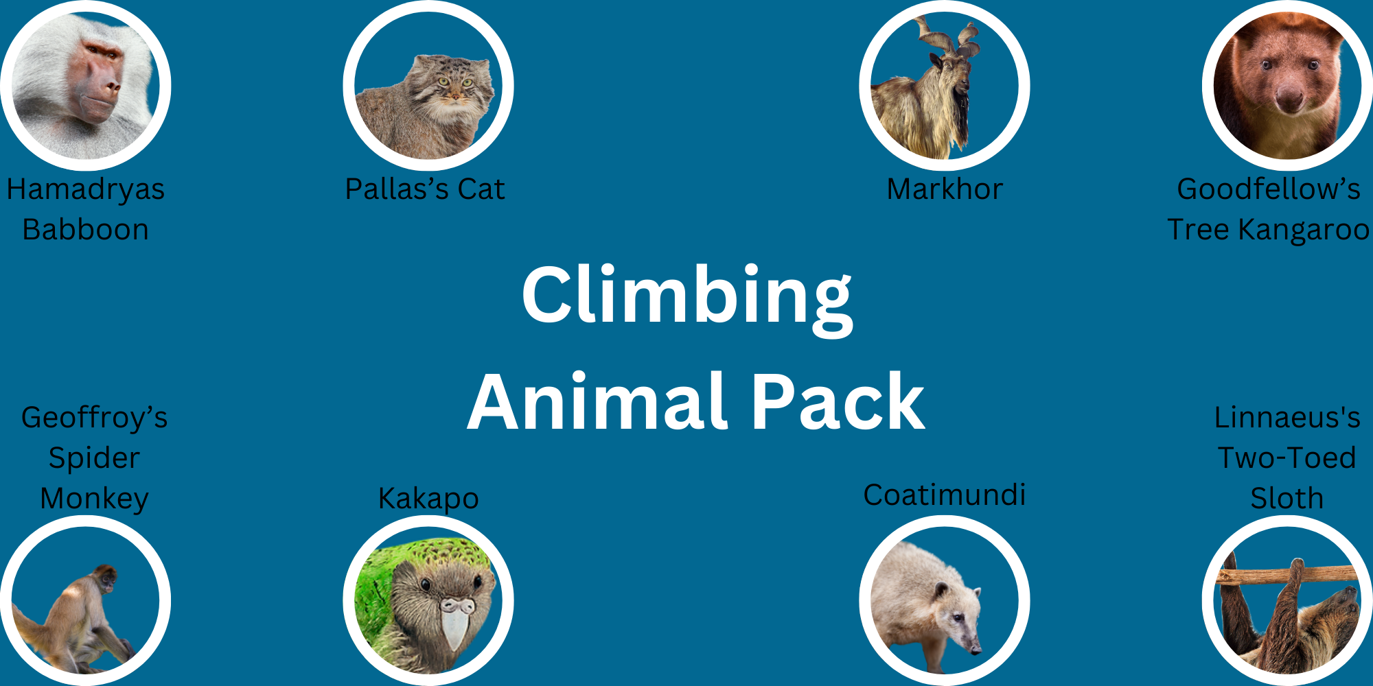 Climbing Animal Pack.png