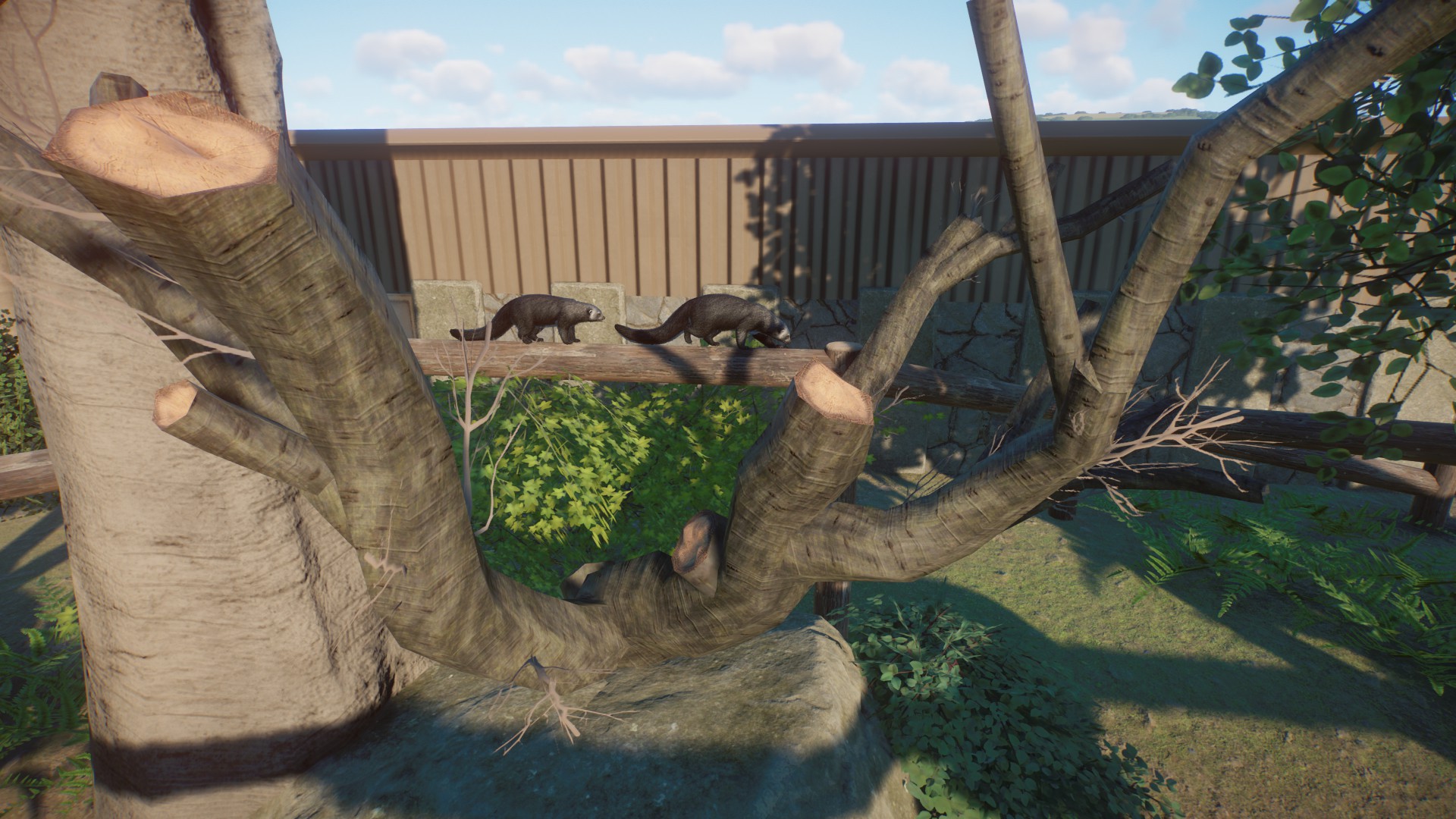 CLIMBING.jpg
