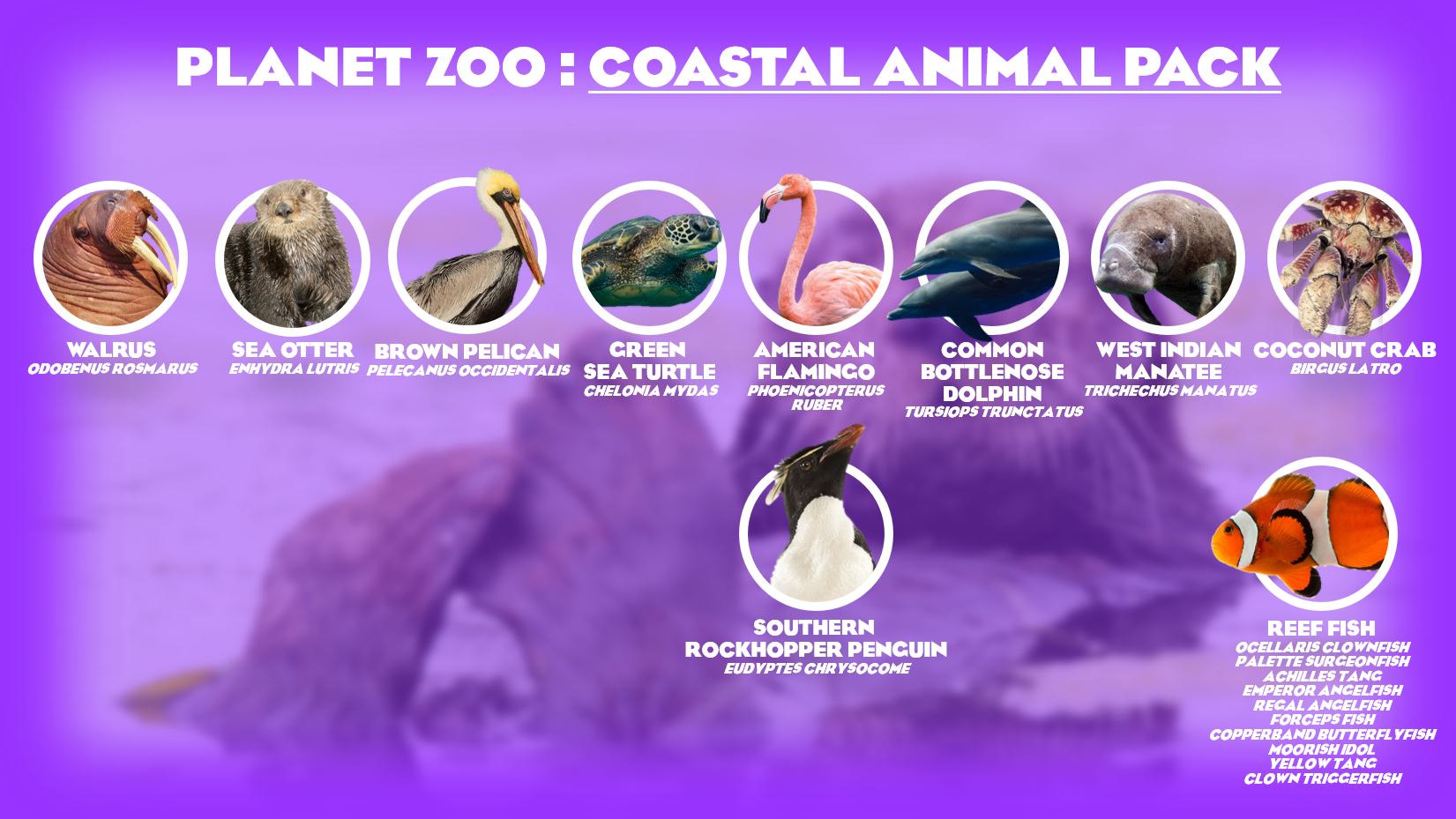 CoastalAnimalPack.JPG