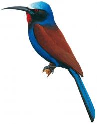 color5990.jpg