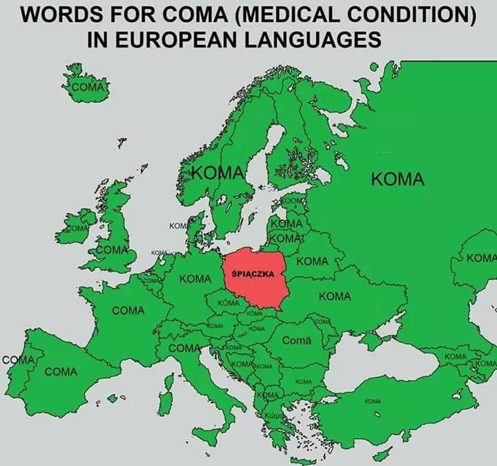 coma.jpg