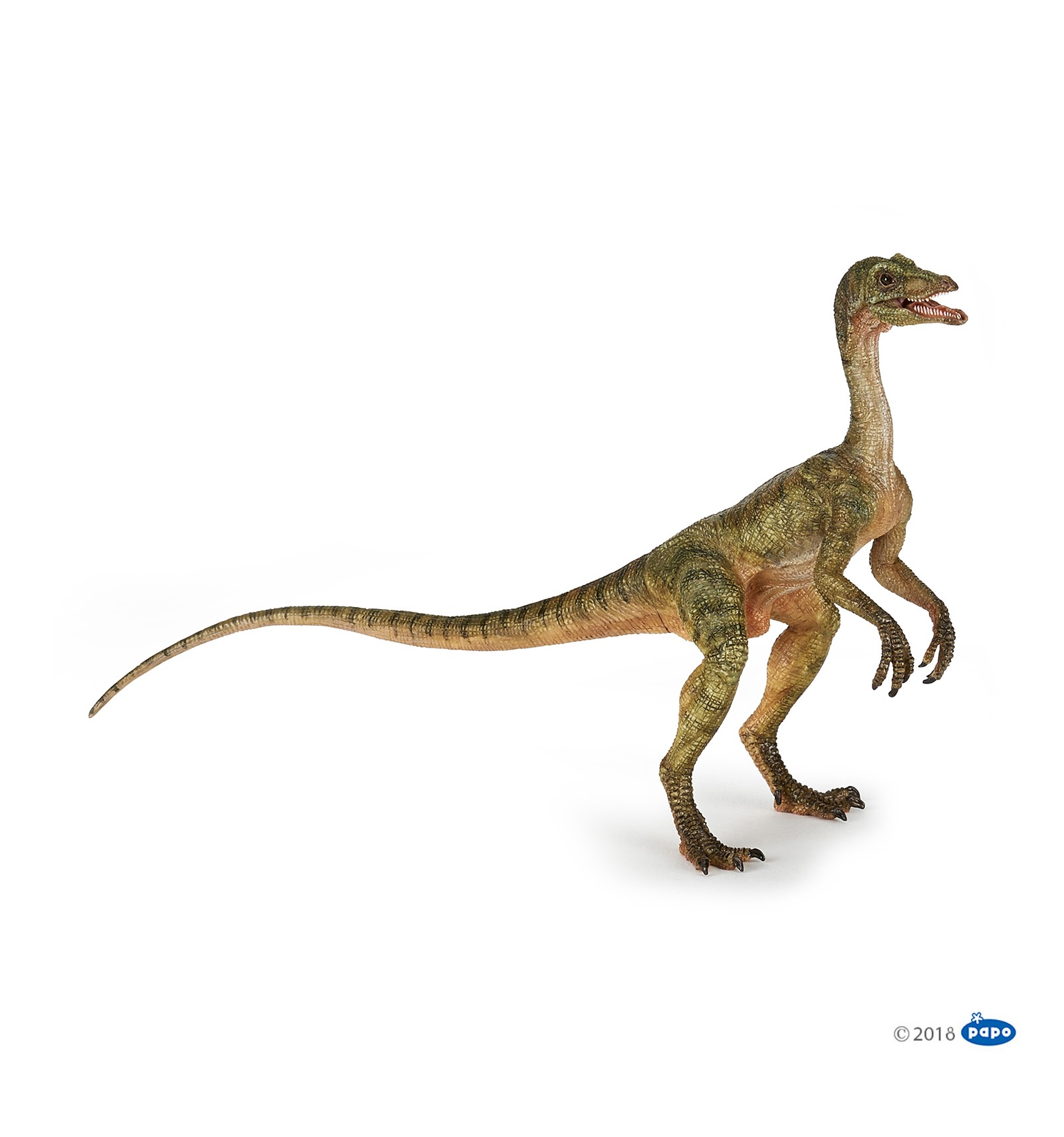 accurate compsognathus