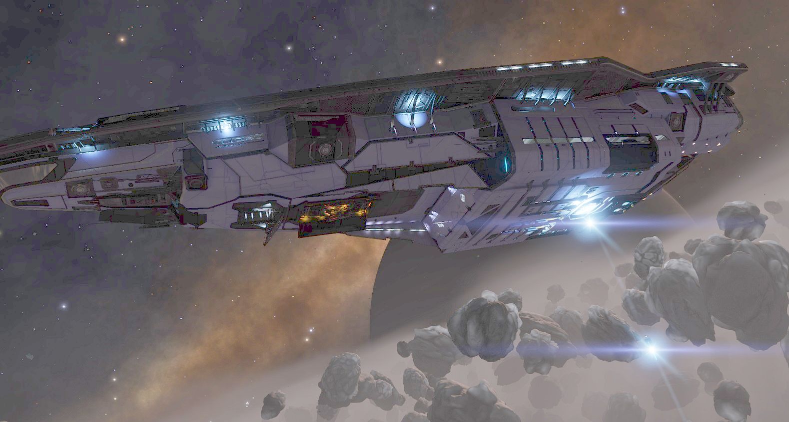 conda limpet washed-out.jpg