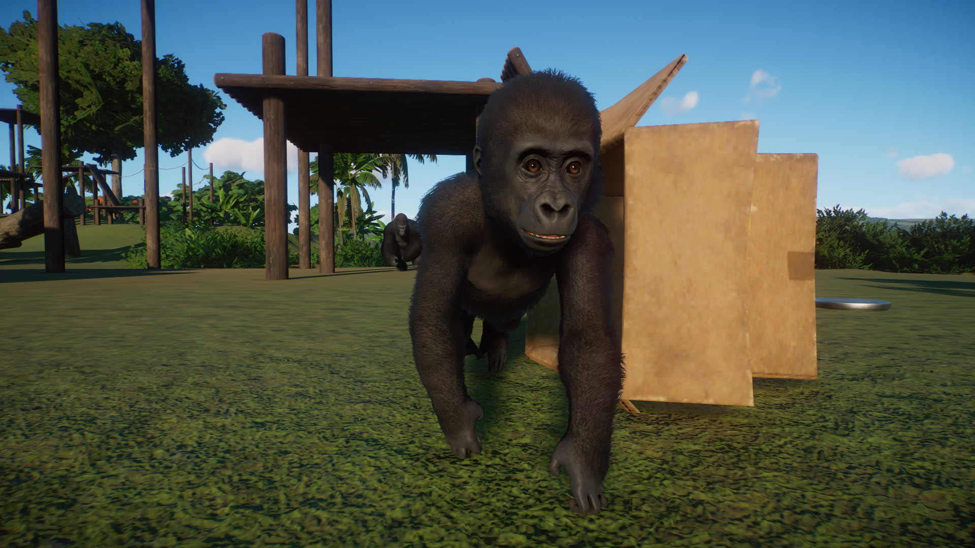 Congo Trail 12.jpg