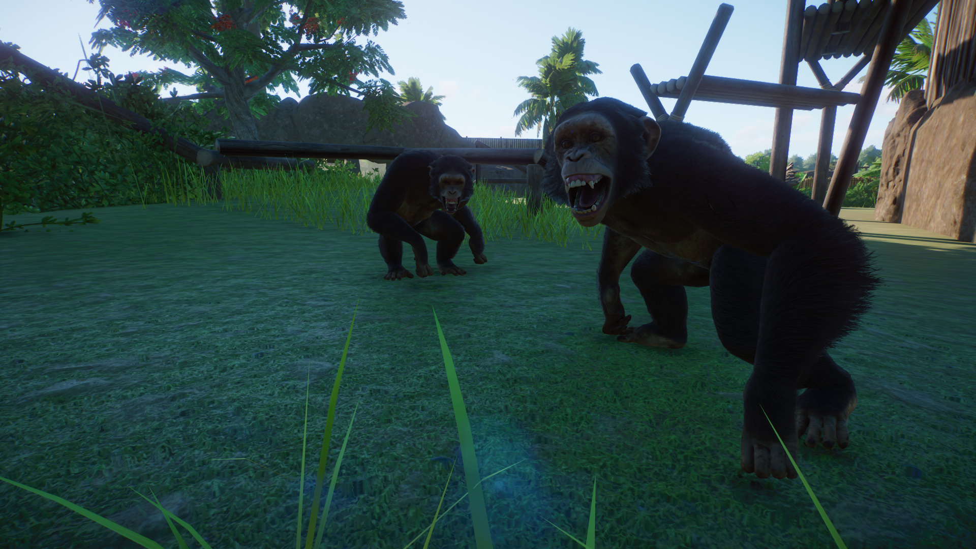Congo Trail 16.jpg