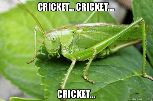 cricket-cricket-cricket-makeameme-org-cricket-cricket-cricket-make-a-meme-52901134.png