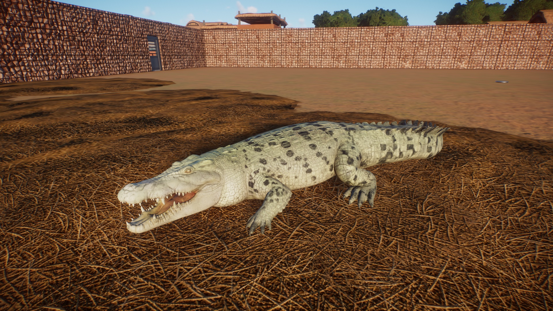 Crocodile Dundee.jpg