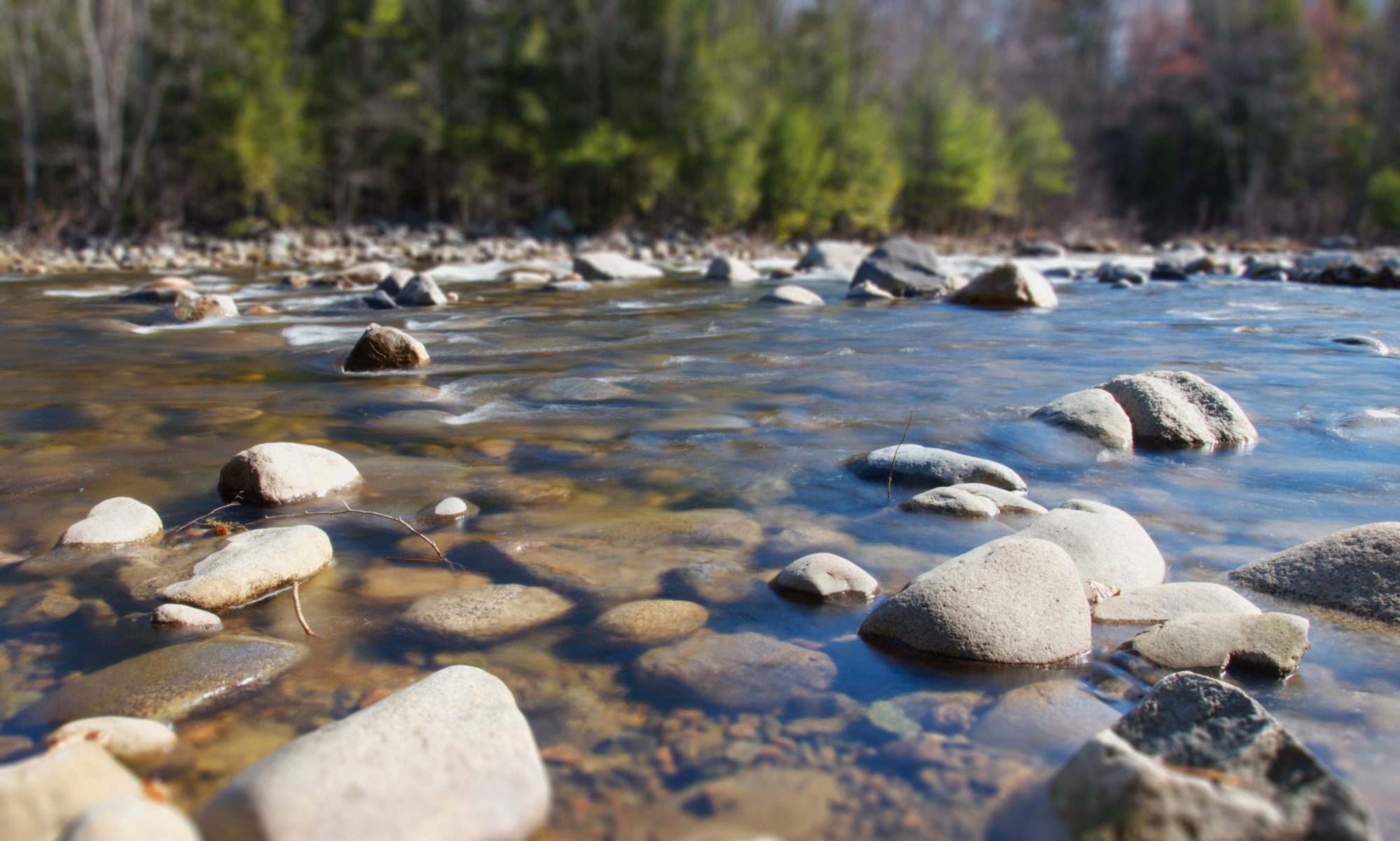 cropped-summer-rocks-trees-river.jpg