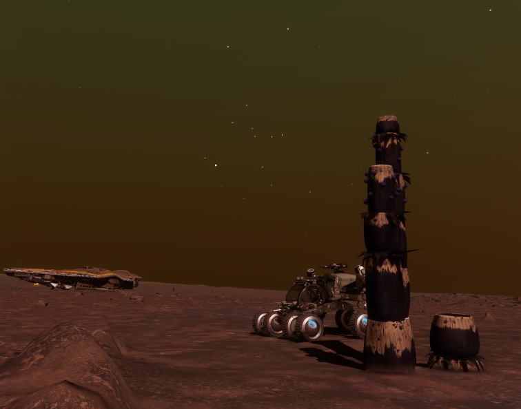 CT-998371.jpg