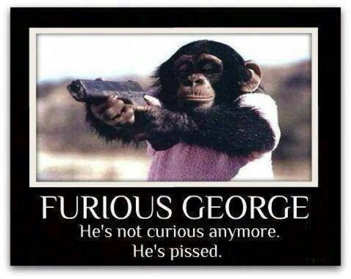 Curious-George-meme.jpg
